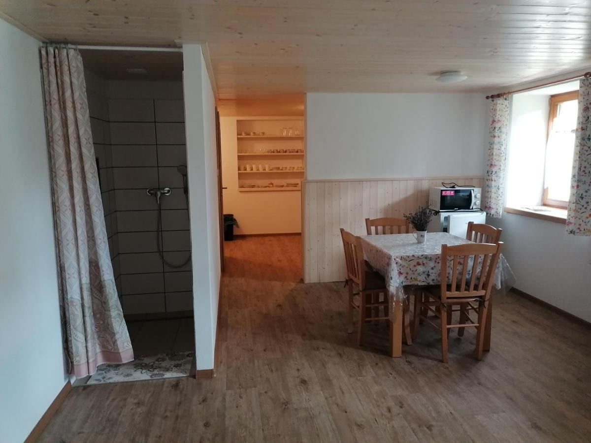 Apartman Na Statku Jílovice Eksteriør billede
