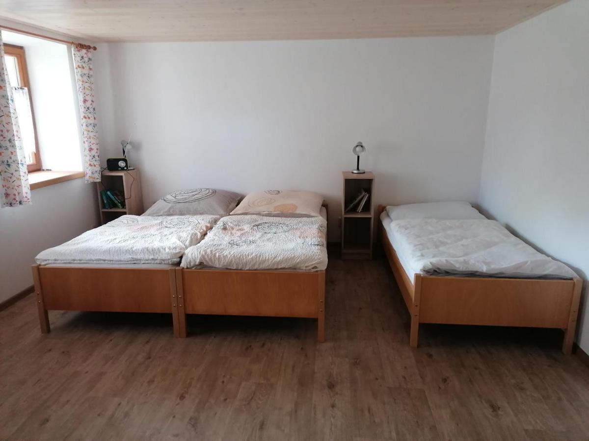 Apartman Na Statku Jílovice Eksteriør billede